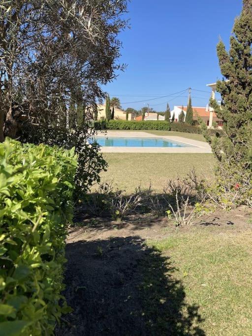 Panorama Apartment Sagres *Pool* 외부 사진