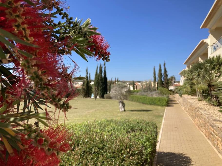 Panorama Apartment Sagres *Pool* 외부 사진