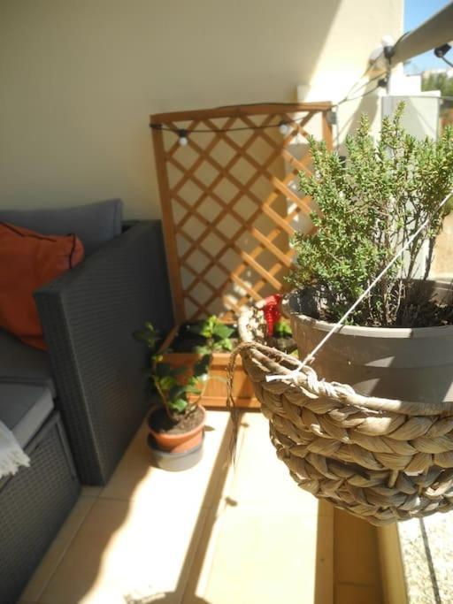 Panorama Apartment Sagres *Pool* 외부 사진
